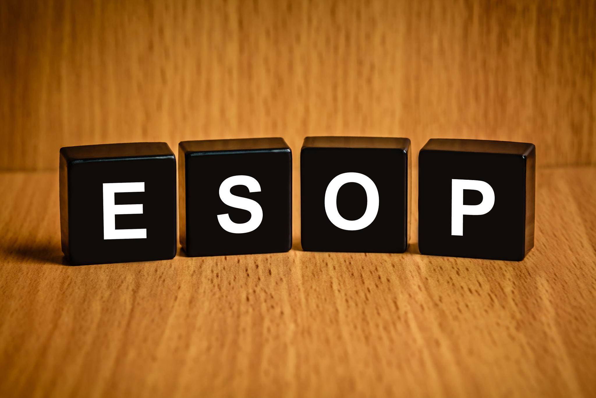 How to Issue ESOPs in a Startup: A Complete Compliance & Structuring Guide